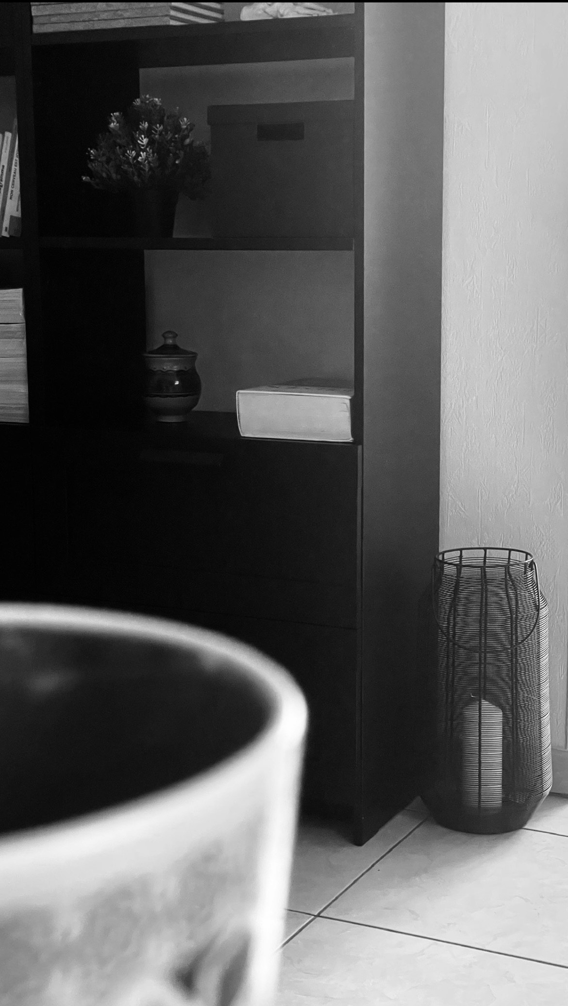 IMG_4721